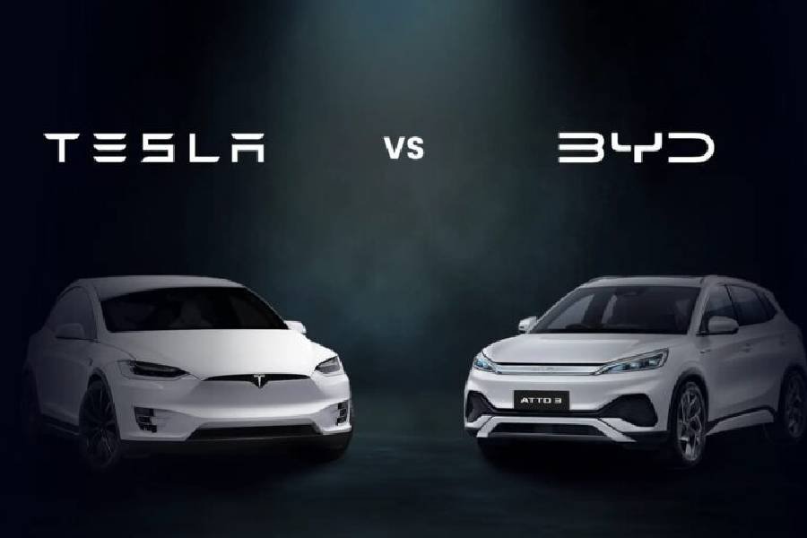 byd versus tesla